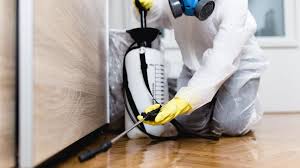 Emergency Pest Control Services in Santa Barbara, CA